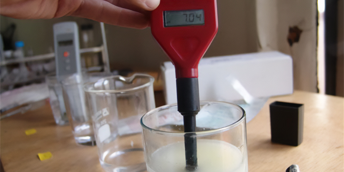 medição de ph de um queijo