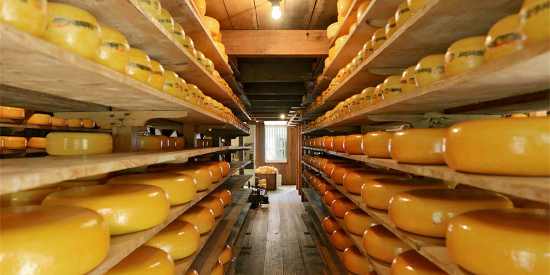 maturação dos queijos