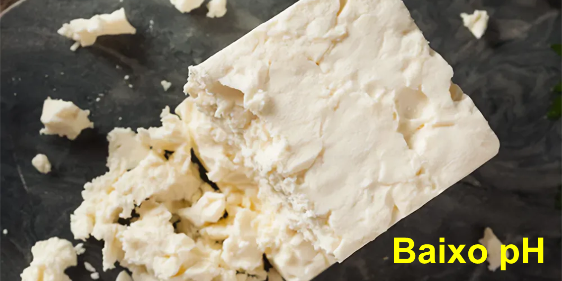 maturação do queijo